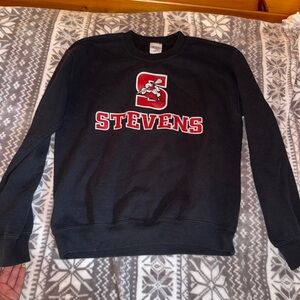 Gildan Black Crewneck Sweater